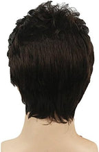 Load image into Gallery viewer, Men's Fluffy Wigs Mens Short Curly Fluffy Wig Natural Men Wig Synthetic Full Wigs(azboydarkbrown)