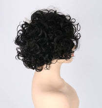 Load image into Gallery viewer, Estelle Curly Wig, Black White Bicolor, Short Wavy Curly Hair, Cos Witch Cruella de Vil Wig Suitable for Carnival Parties and Cosplay Party Costume Accessories