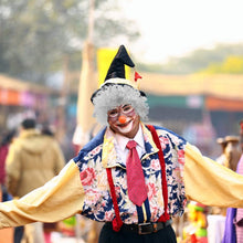 Load image into Gallery viewer, Estelle Afro Curly Clown Wig Halloween Circus Carnival Party Costume Cosplay Party Hair Wigs for Adult and Kids