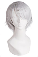 Load image into Gallery viewer, Estelle Mens Short Straight Fashion Cosplay Costume Wig أزياء تنكرية قصيرة مستقيمة للرجال
