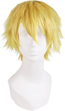 Load image into Gallery viewer, Estelle Mens Short Straight Fashion Cosplay Costume Wig أزياء تنكرية قصيرة مستقيمة للرجال
